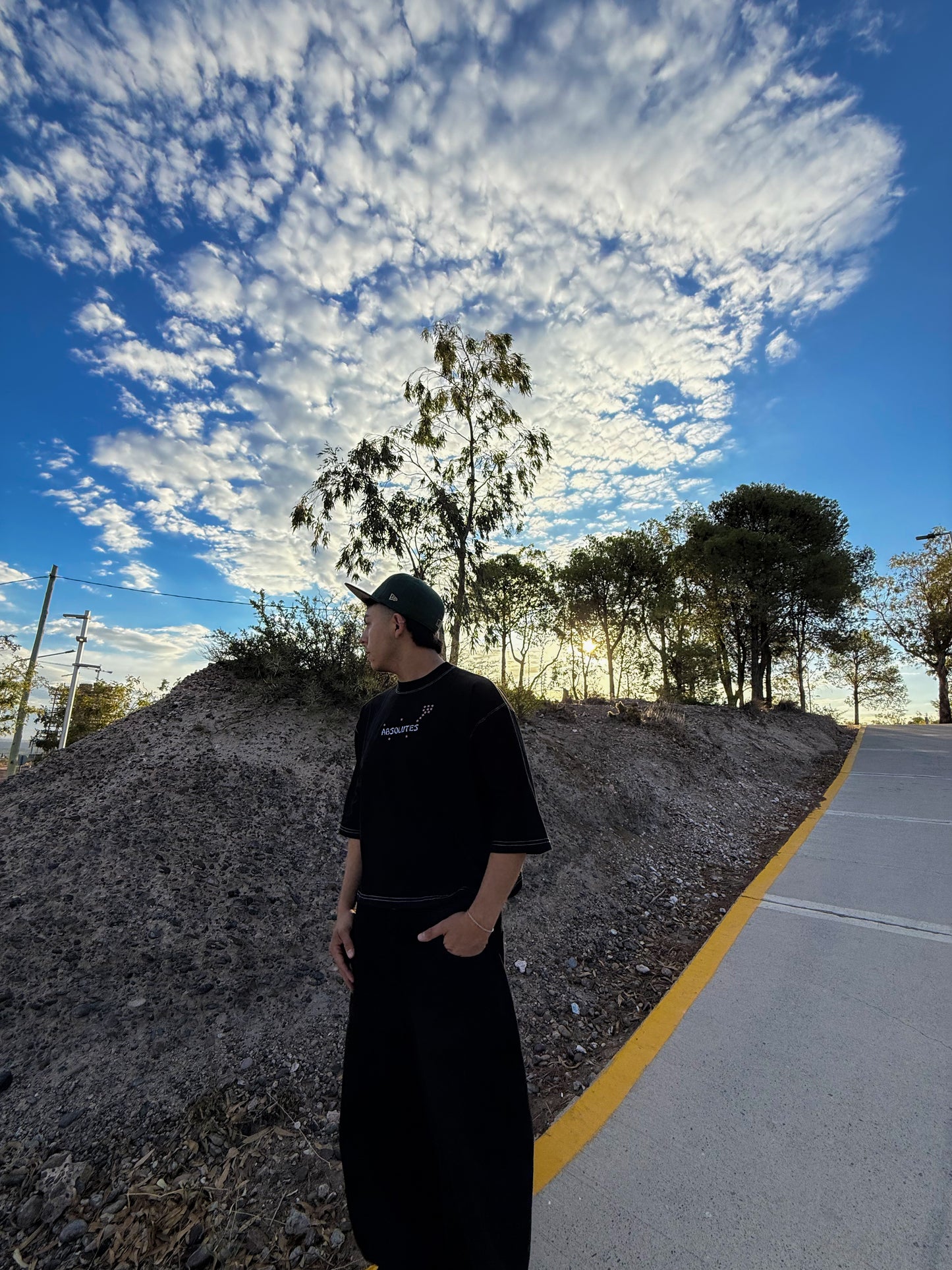 Remera Boxy fit Negra Cerezos - Drop 02